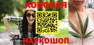 стаф Будённовск