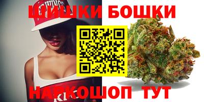 стаф Будённовск