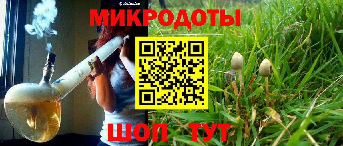 Галлюциногенные грибы прущие грибы Ирбит