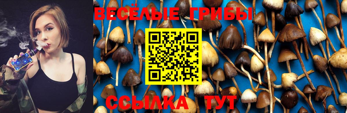 наркотики  Псилоцибиновые грибы ЛСД  Псилоцибиновые грибы Psilocybine cubensis  Вход с VPN  Ирбит 